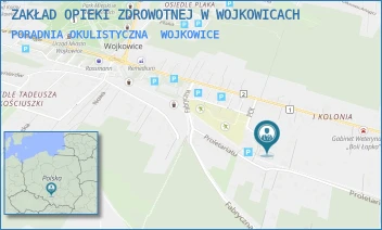 PORADNIA OKULISTYCZNA - ZAKŁAD OPIEKI ZDROWOTNEJ W WOJKOWICACH - UL. PCK 1,  WOJKOWICE